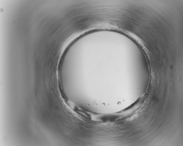 X0000058121335200510212011