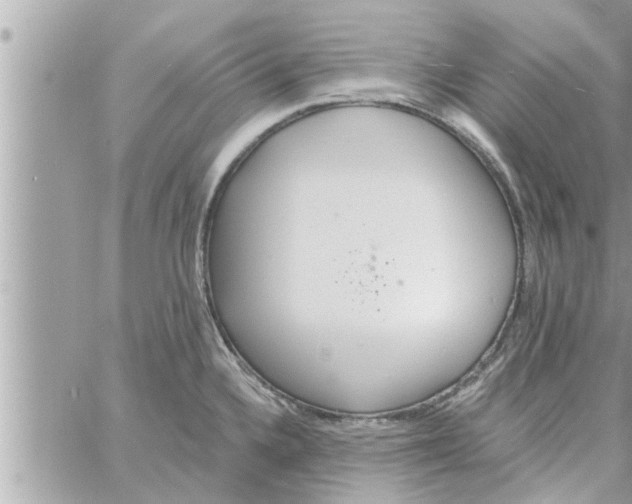 X0000058121336200510212011