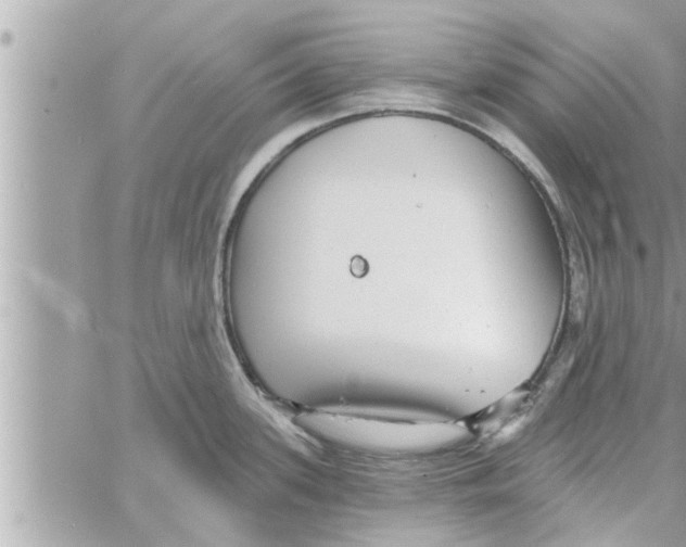 X0000058121339200510212011