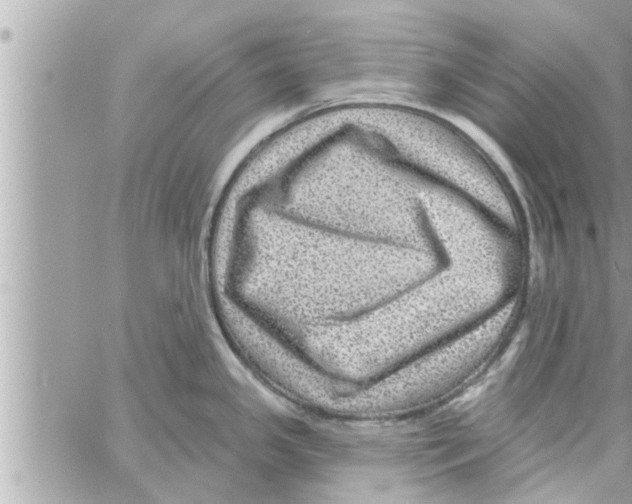 X0000058121341200510212011