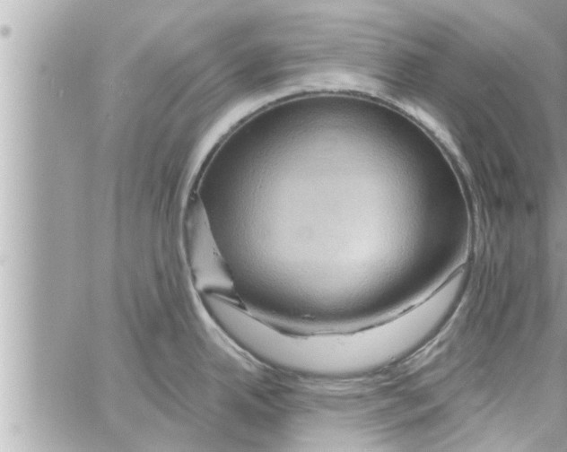 X0000058121342200510212011