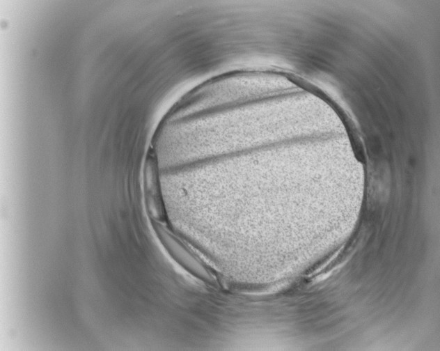 X0000058121343200510212011