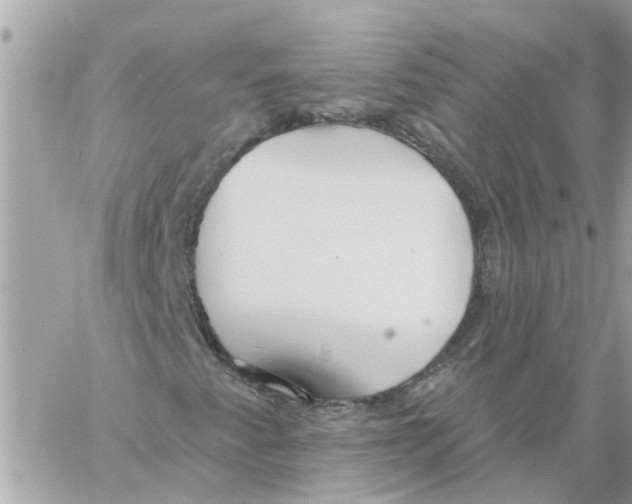 X0000058121345200510212010