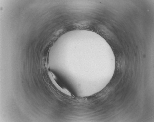 X0000058121346200510212010