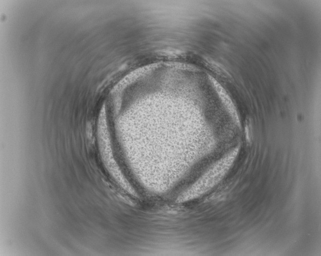 X0000058121347200510212010