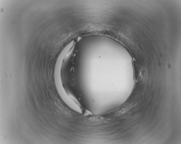 X0000058121348200510212010