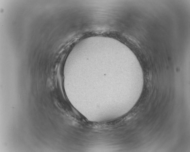 X0000058121349200510212010