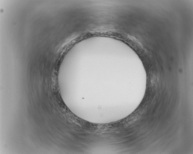 X0000058121350200510212010