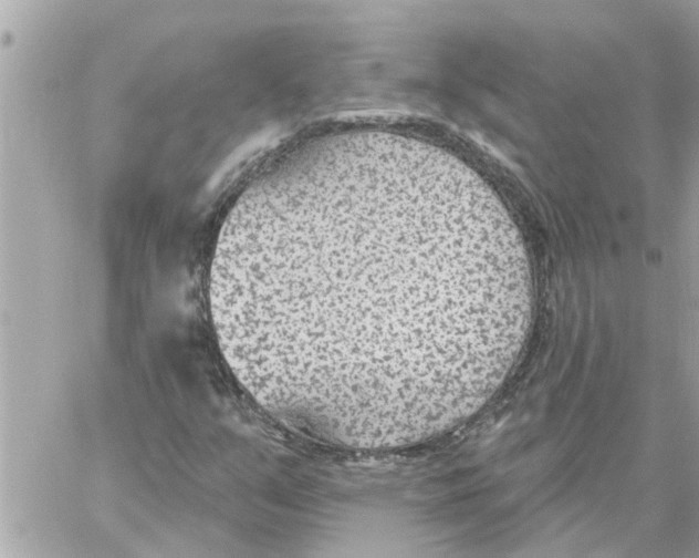 X0000058121351200510212010