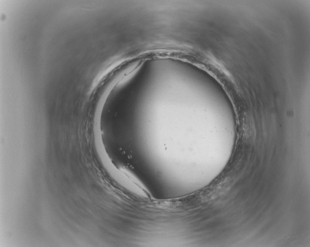 X0000058121352200510212010