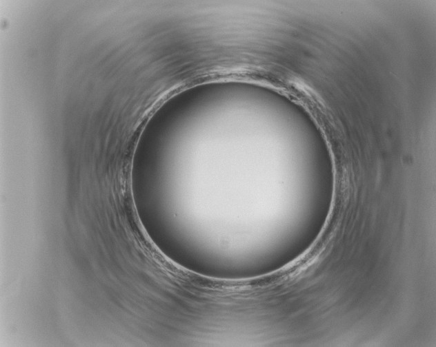 X0000058121353200510212010