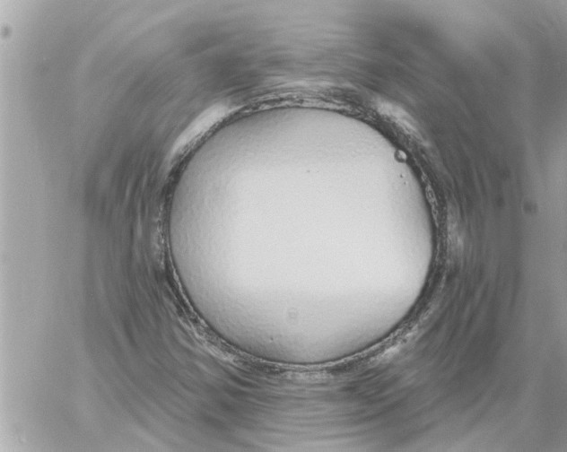 X0000058121354200510212010