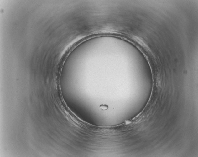 X0000058121356200510212010