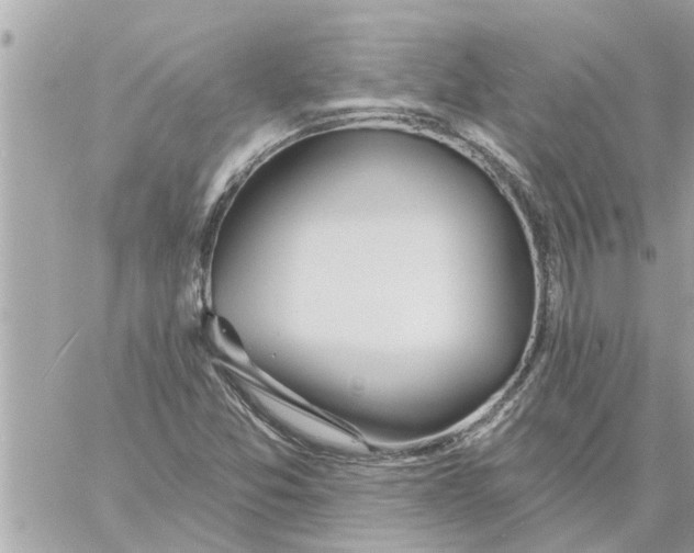 X0000058121357200510212010