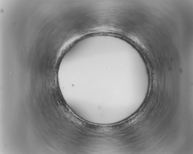 X0000058121358200510212010