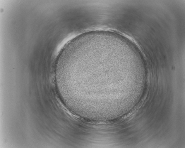 X0000058121359200510212010