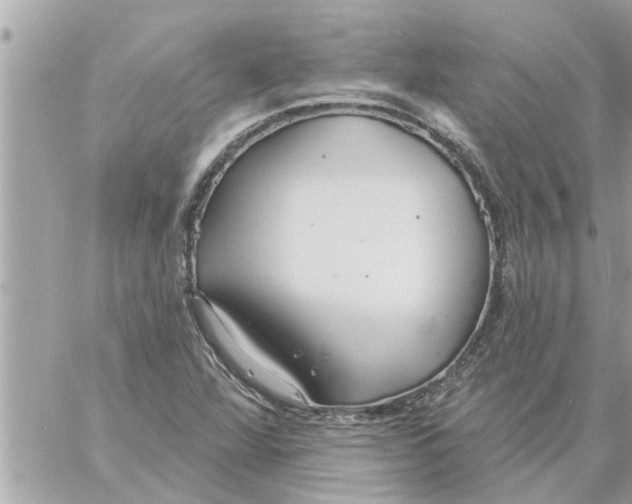 X0000058121360200510212010