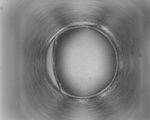 X0000058121361200510212010