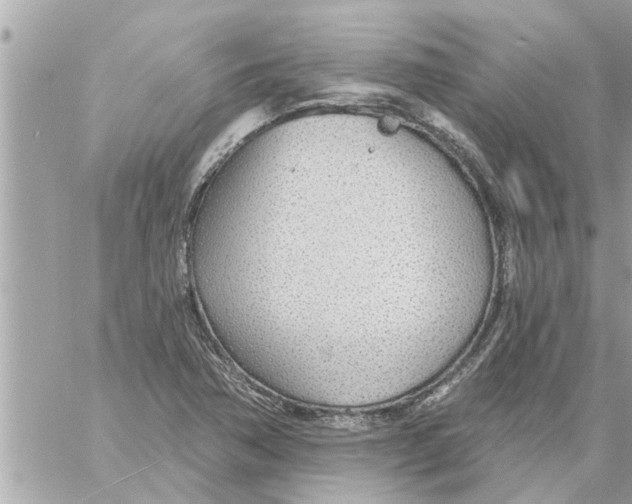 X0000058121362200510212010