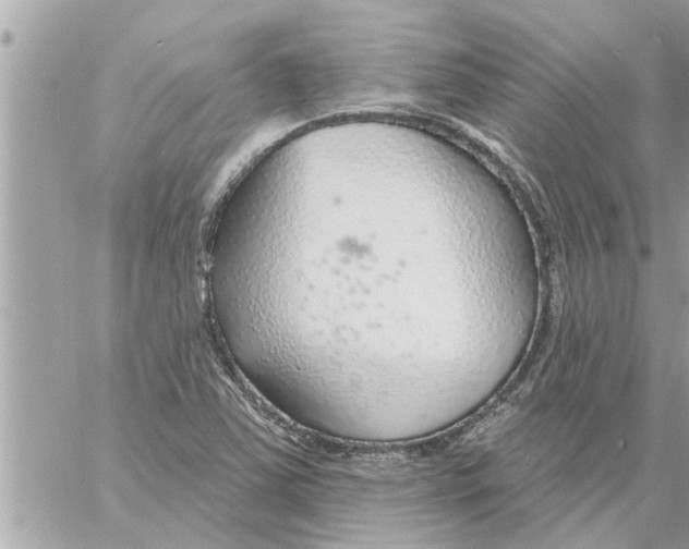 X0000058121363200510212010