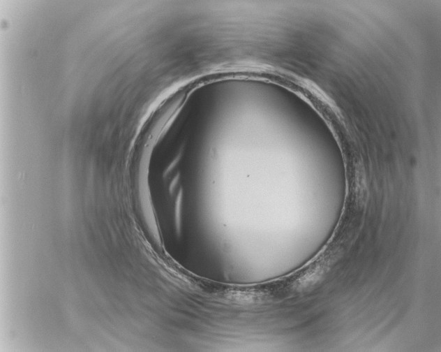 X0000058121364200510212010