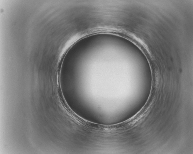 X0000058121365200510212010