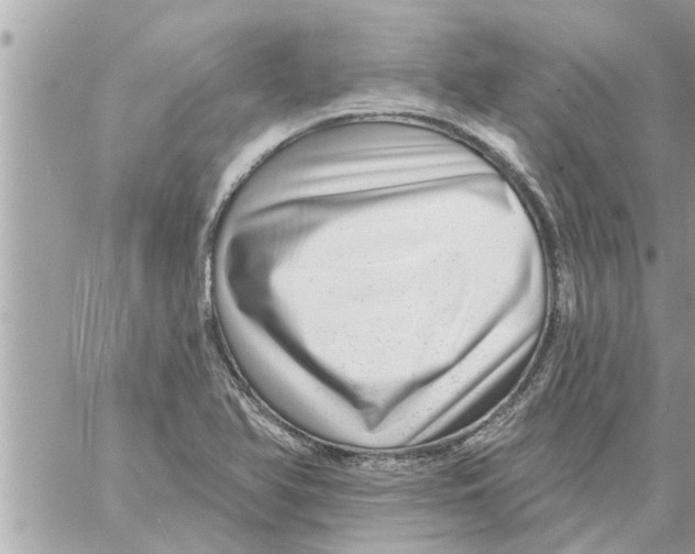 X0000058121366200510212010