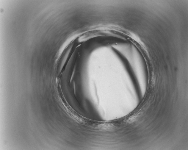 X0000058121368200510212010