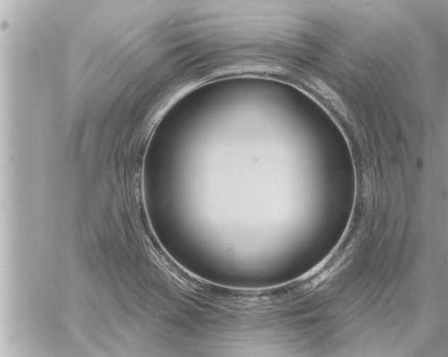 X0000058121369200510212009