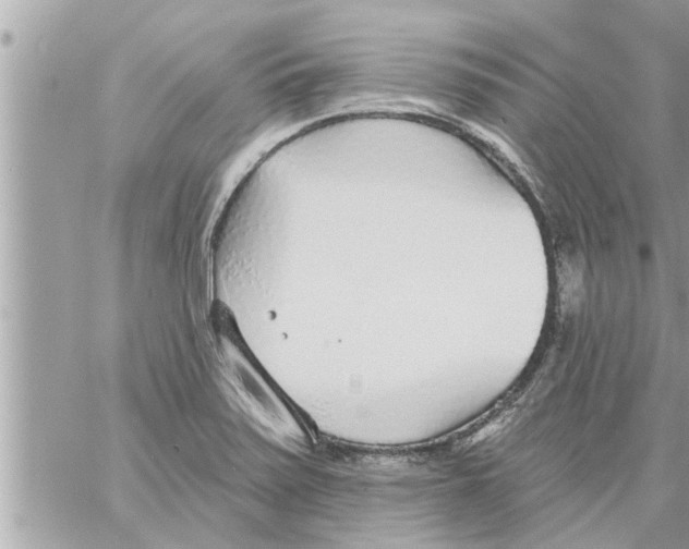 X0000058121371200510212009