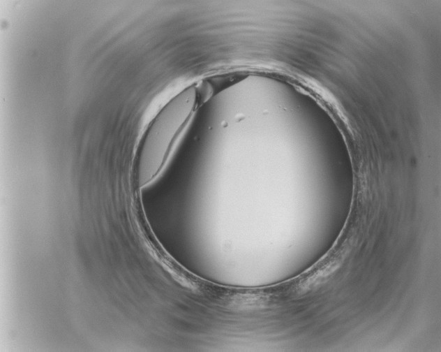 X0000058121373200510212009