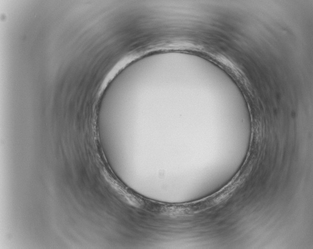 X0000058121374200510212009