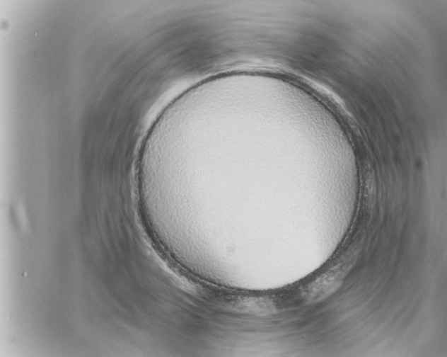 X0000058121375200510212009