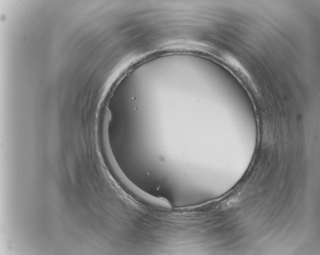 X0000058121376200510212009