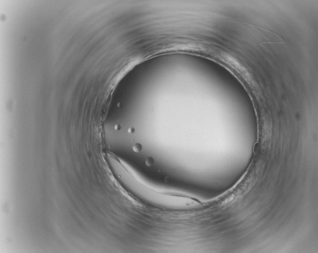 X0000058121377200510212009