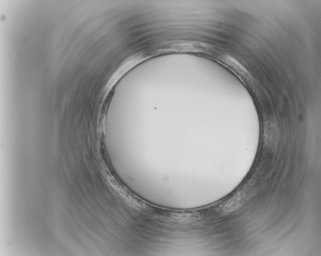 X0000058121378200510212009