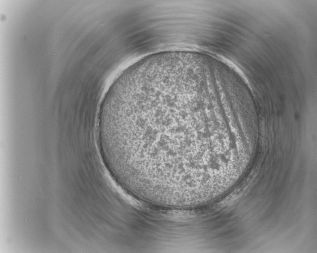 X0000058121379200510212009