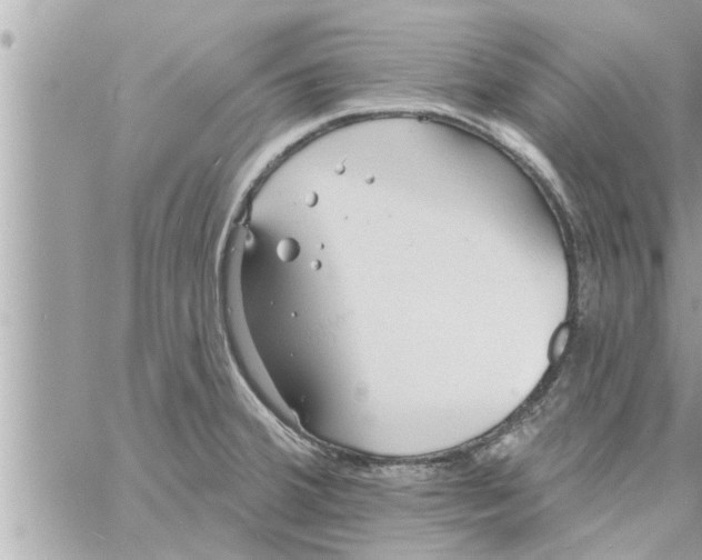 X0000058121380200510212009