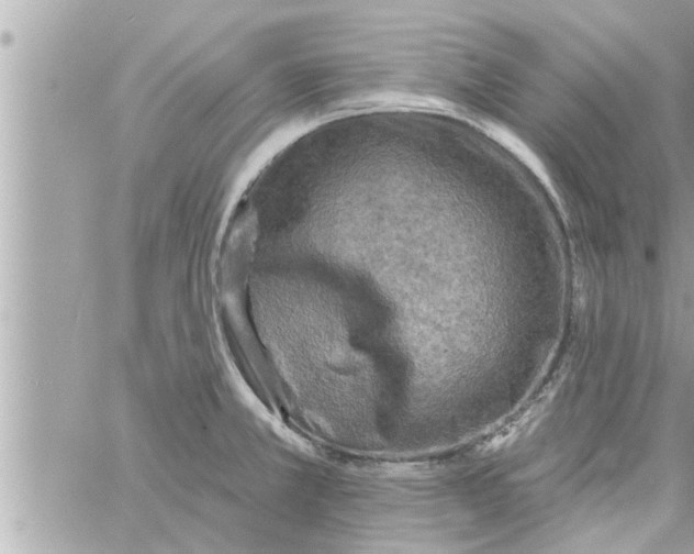 X0000058121381200510212009