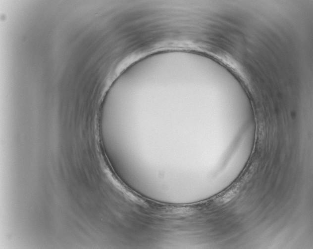 X0000058121382200510212009