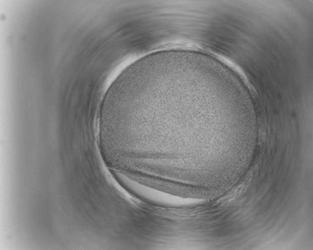 X0000058121383200510212009