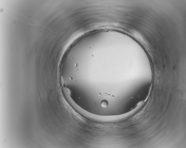 X0000058121384200510212009