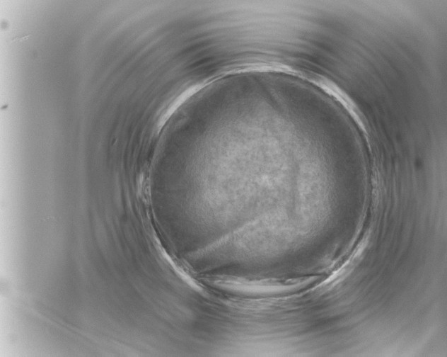 X0000058121385200510212009