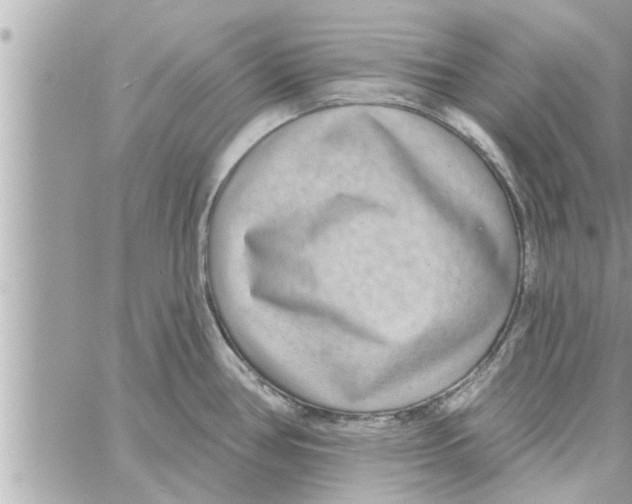 X0000058121386200510212009