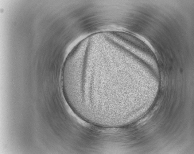 X0000058121387200510212009