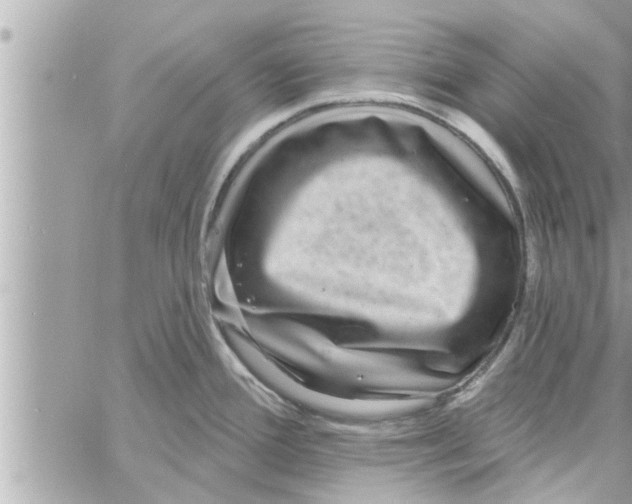 X0000058121388200510212009