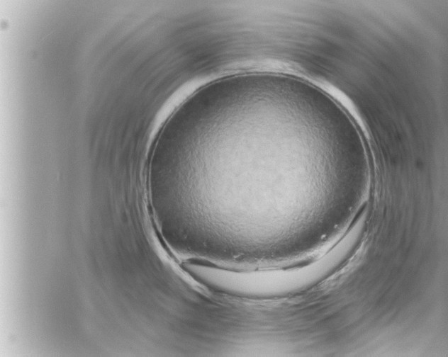 X0000058121389200510212009