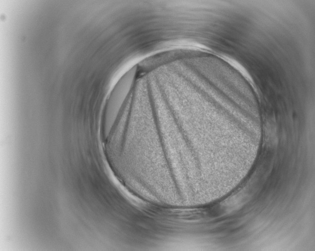 X0000058121391200510212009