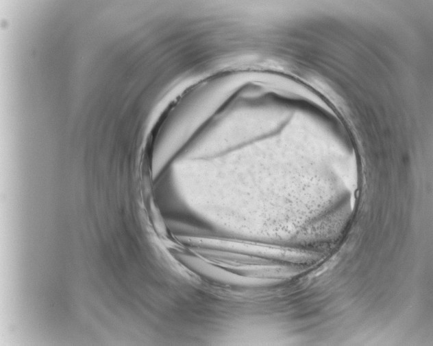 X0000058121392200510212009