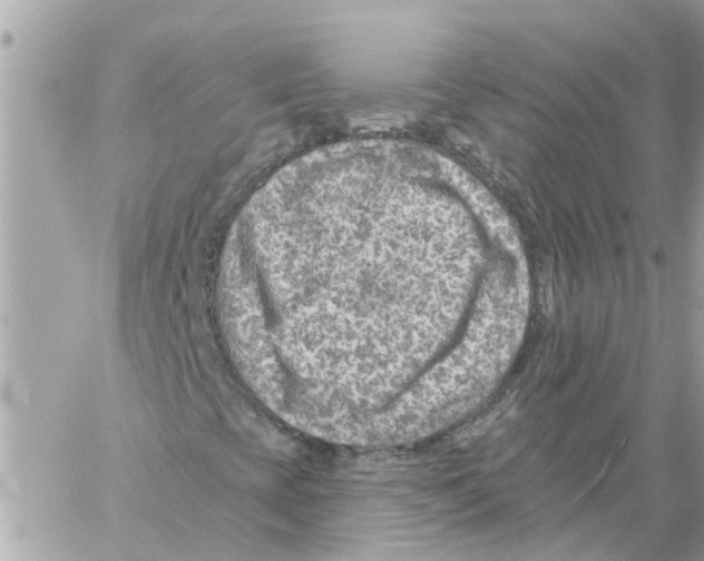 X0000058121393200510212008